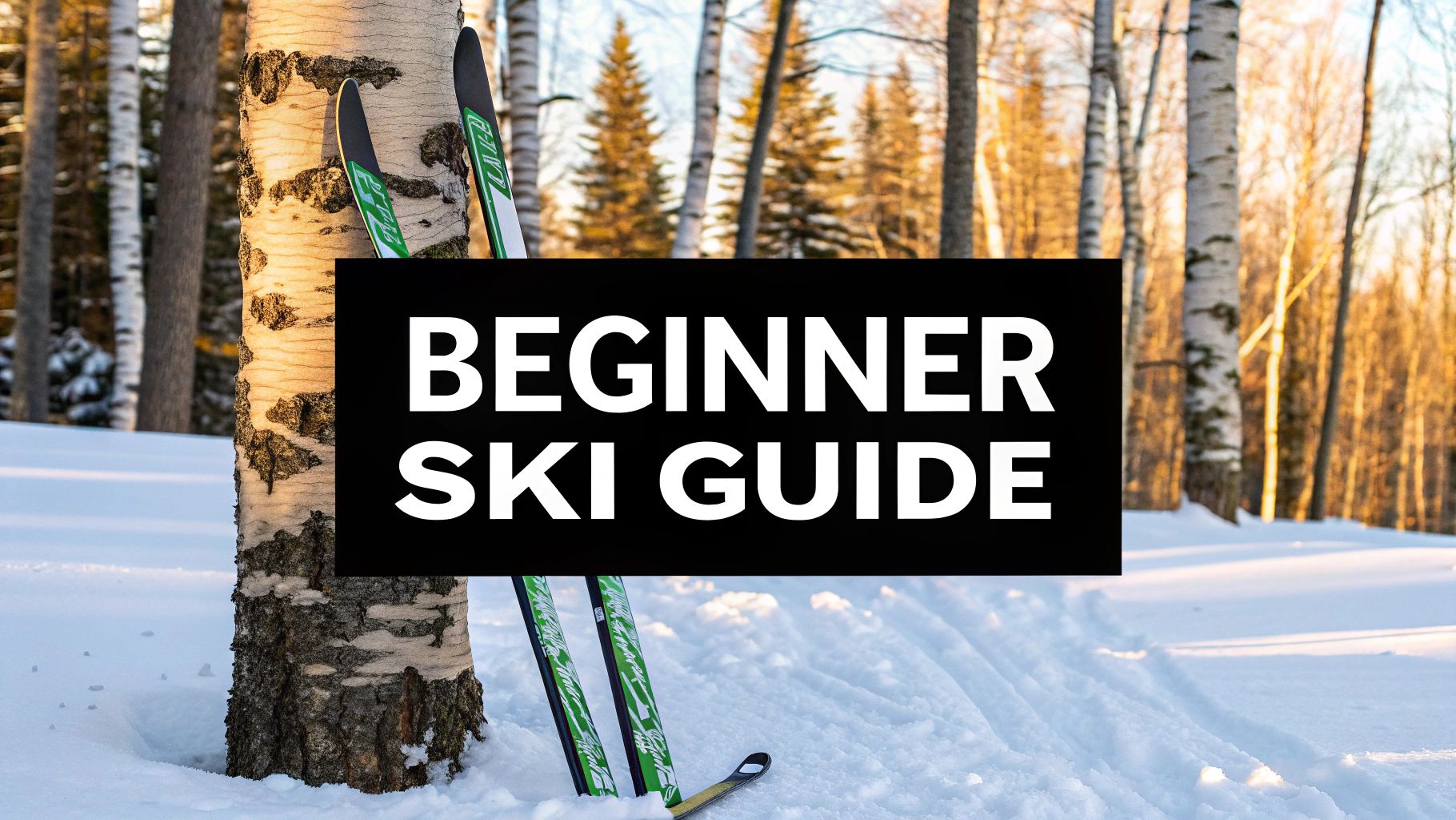 Best Cross Country Skis for Beginners in 2025
