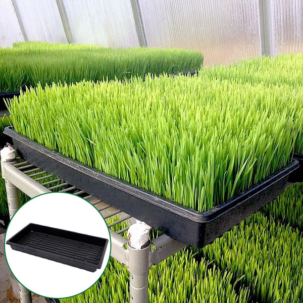 10pcs Garden Black Plastic Rectangle Plant Seedling Propagation Seedin