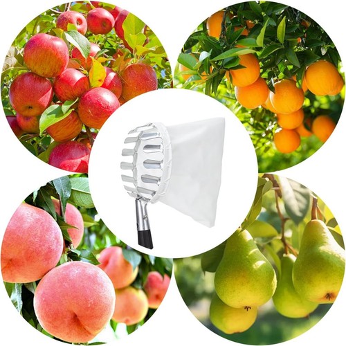 3.2M Fruit Picker Pole with Basket Telescoping Fruit Picker Tool with