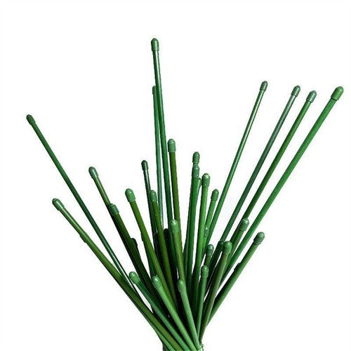 60CM Green Fingers Garden Stakes Metal Plant Support Stake T