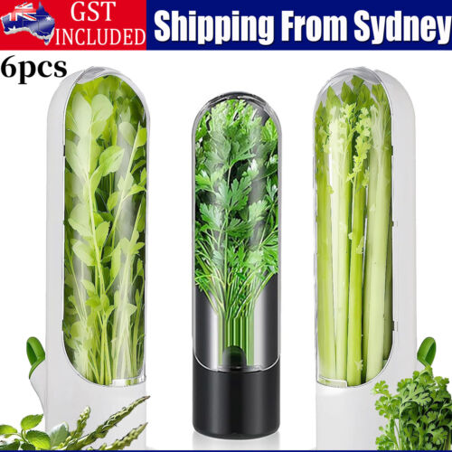 6Pcs Vegetable Herb Storage Containers Asparagus Fresh Produce Keeper