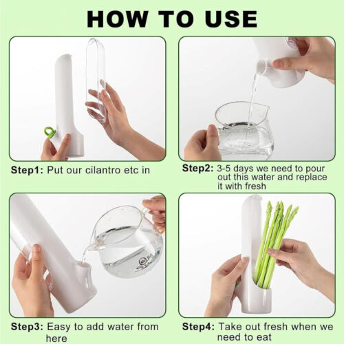 6Pcs Vegetable Herb Storage Containers Asparagus Fresh Produce Keeper
