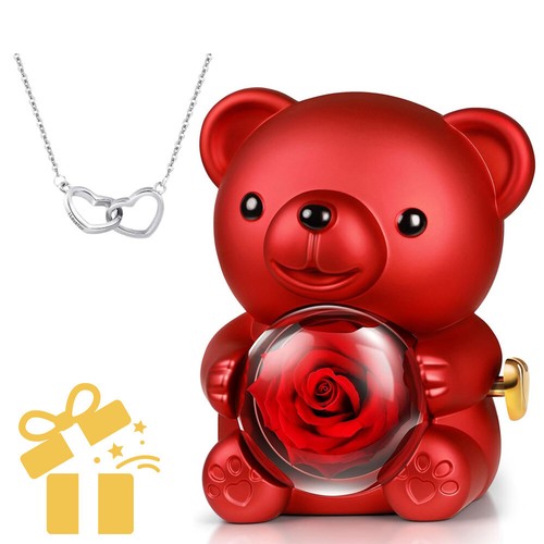 Eternal Rose Bear with Necklace Exquisite Gift Box for Valentine's&Mot