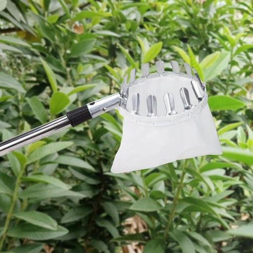 3.2M Fruit Picker Pole with Basket Telescoping Fruit Picker Tool with