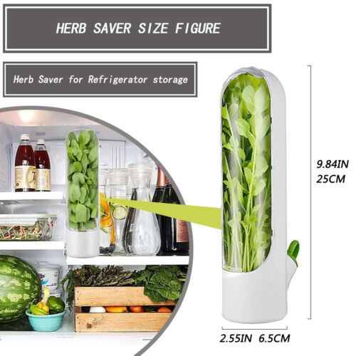 6Pcs Vegetable Herb Storage Containers Asparagus Fresh Produce Keeper