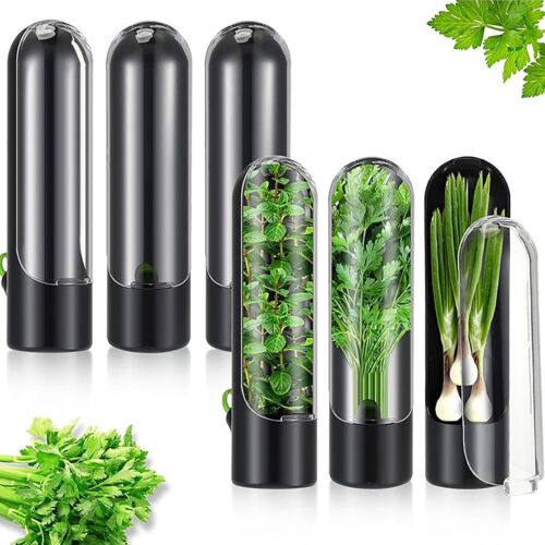 6Pcs Vegetable Herb Storage Containers Asparagus Fresh Produce Keeper