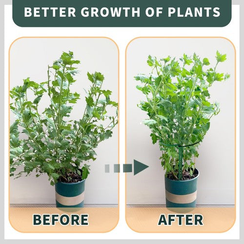 10PCS Garden Plant Support Ring Semi-Circular Flower Plant Trellis Sta