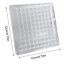 Acrylic Magnetic Seashell Display Box, 36/64/100Grids Seashell Display Organizer