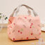 Portable Insulated Thermal Cooler Lunch Box Carry Tote Picnic Case Storage Bags