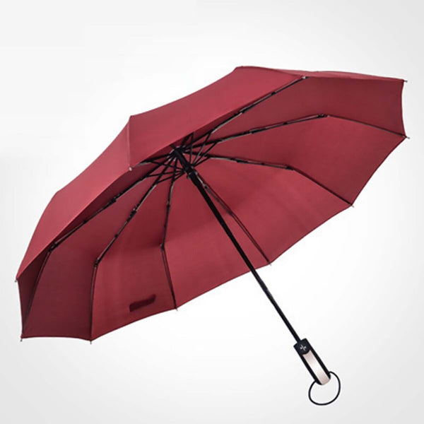 10Ribs Automatic Windproof Umbrella Auto Open Close Compact Folding Anti Rain