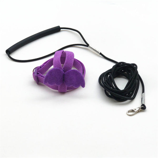 Adjustable Pet Parrot Bird Harness Lead Leash Flying Training Rope Cockatiel AUS