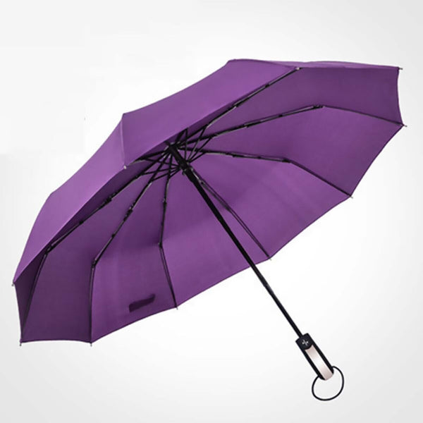 10Ribs Automatic Windproof Umbrella Auto Open Close Compact Folding Anti Rain