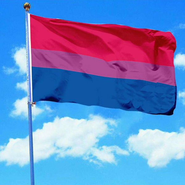 10 Kinds Of Rainbow Large Flag Gay Lesbian Transgender Bisexual LGBT Mardi Gras