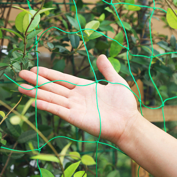 Vegetable Flower Vine Plants Climbing Net Garden Cucumber Trell