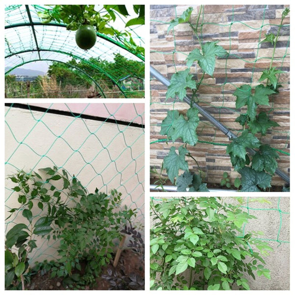 Vegetable Flower Vine Plants Climbing Net Garden Cucumber Trell