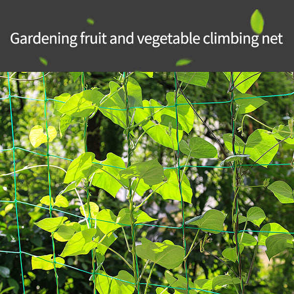 Vegetable Flower Vine Plants Climbing Net Garden Cucumber Trell