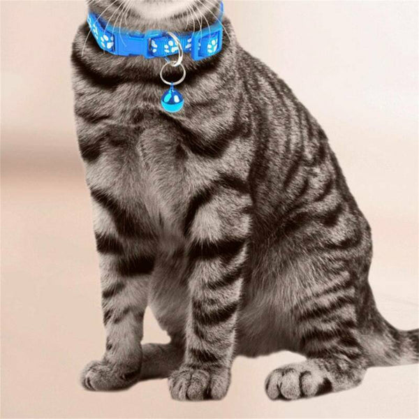 Whelping ID Dog Cat Collar Pet Puppy Kitten Adjustable Harnes