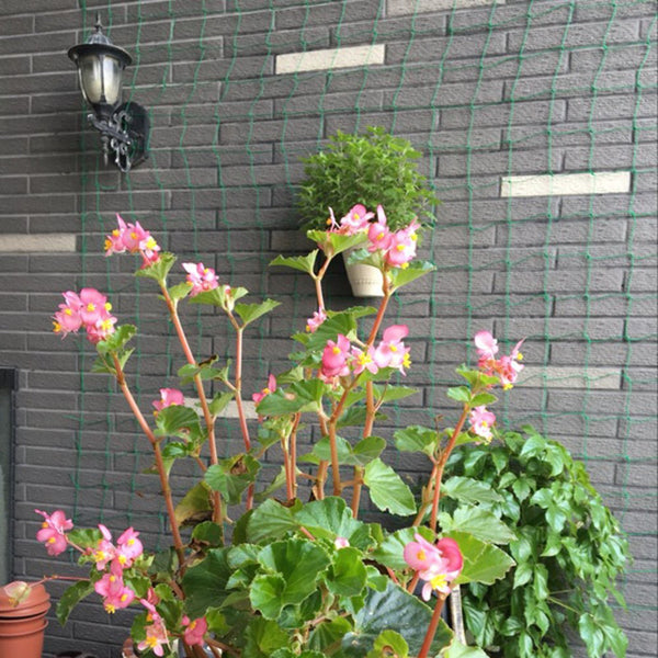 Vegetable Flower Vine Plants Climbing Net Garden Cucumber Trell