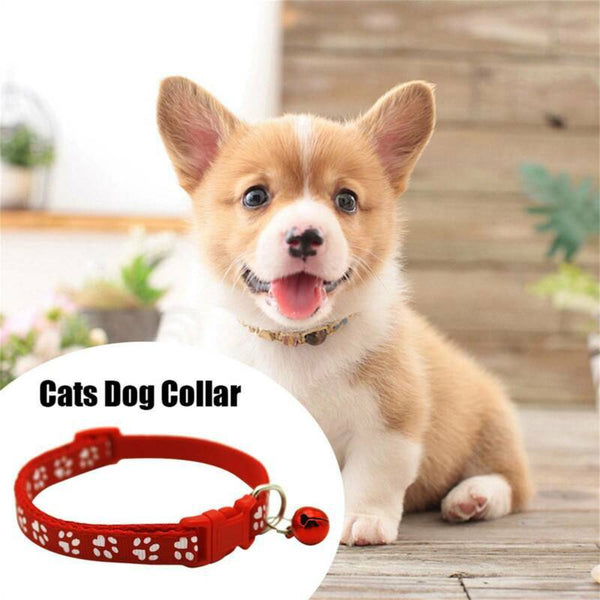 Whelping ID Dog Cat Collar Pet Puppy Kitten Adjustable Harnes