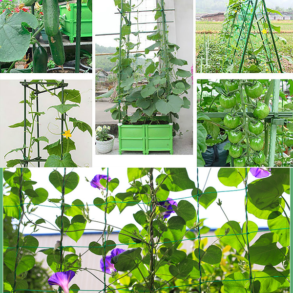 Vegetable Flower Vine Plants Climbing Net Garden Cucumber Trell