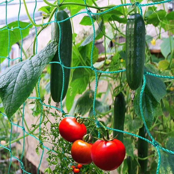Vegetable Flower Vine Plants Climbing Net Garden Cucumber Trell