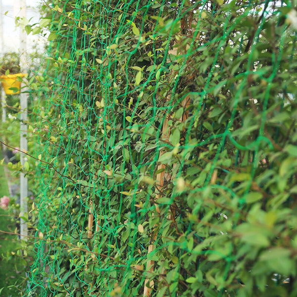 Vegetable Flower Vine Plants Climbing Net Garden Cucumber Trell