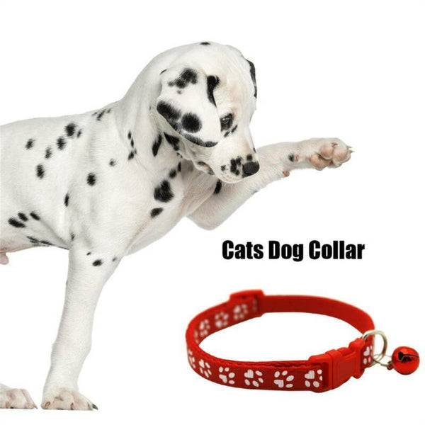 Whelping ID Dog Cat Collar Pet Puppy Kitten Adjustable Harnes