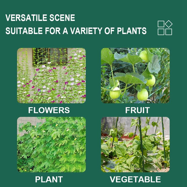 Vegetable Flower Vine Plants Climbing Net Garden Cucumber Trell