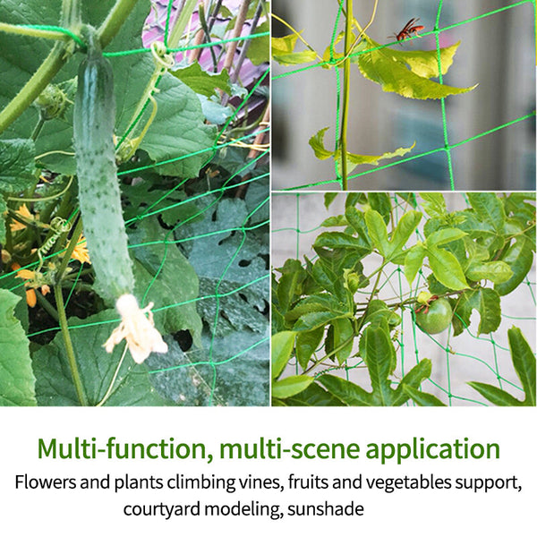 Vegetable Flower Vine Plants Climbing Net Garden Cucumber Trell