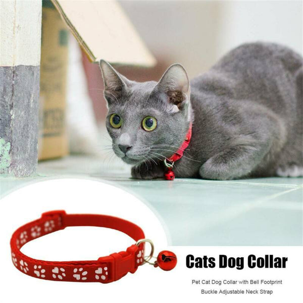Whelping ID Dog Cat Collar Pet Puppy Kitten Adjustable Harnes