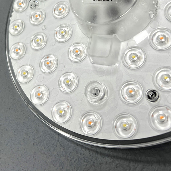 Round Circle Tube Replacement 12-36W LED Module Ceiling 220V Source