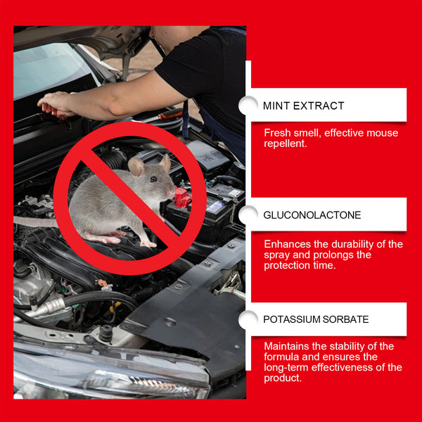 Car Rat Repellent Spray 3pk – Engine Bay Rodent Deterrent
