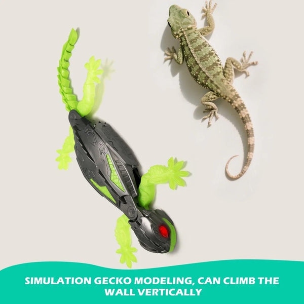 Wall Climbing Gecko Toy Rechargeable RC Robot for Kids, Drive on Walls