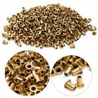 10000pcs Brass Eyelets For Beekeeping Timber Frames Beehive Wooden Frame Eyelet