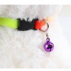 5PCS Dog Kitten Puppy Collar Adjustable Harness Pet Cat Neck Strap with Bell AUS