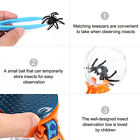 Kids Outdoor Bug Exploration Kit Insect Observer Container Box Educational Toy