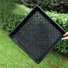 Seedling Tray Fine Hole Plant Propagation Seedling Hydroponic 42x42x5.5cm