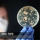 40PCS Plastic Petri dishes with lid 90x15mm Pre-sterile Polystyrene New AU