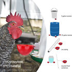 5PCS Automatic Chicken Water Cup Waterer Poultry Drinker Feeder Drinking Bowl