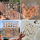 Acrylic Magnetic Seashell Display Box, 36/64/100Grids Seashell Display Organizer