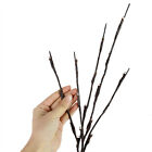20 LED Twig Branch Fairy Light Flowers Tree Willow Night Lamp Home Xmas Decor AU
