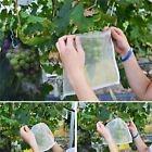 10/50PC Fruit Net Bags Agriculture Garden Vegetable Protection Mesh Insect Proof