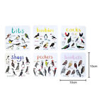 Set of 6 Bird Pun Coasters Funny Coasters for Drinks Kitchen Bar Decoration Gift