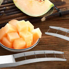 Stainless Steel Watermelon Slicer Cutter Multifunctional Fruit Fork Kitchen Tool
