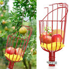Red Horticultural Convenient Labor saving Fruit Picker Tool Apple Picking Garden