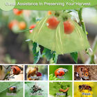 Fruit Net Bags Agriculture Garden Vegetable Protection Mesh Insect Proof