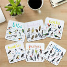 Set of 6 Bird Pun Coasters Funny Coasters for Drinks Kitchen Bar Decoration Gift