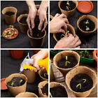 100X Biodegradable Seedling Pots Seed Garden Pots Cardboard Nursery Plant Labels