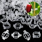 200PCS Tomato Greenhouse Ties Veggie Plant Support Clips Garden trellis Stake AU