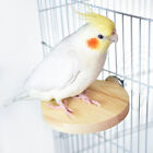 Hamster Parrot Play Stand Jump Platform Squirrel Cage Accessories Gear Pet Toy